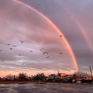 国产暴力挙交456
